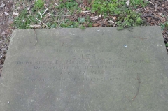 Hadley  - Ellen (wife of Eli)