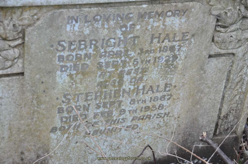 Hale - Stephen, Sebright