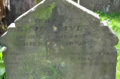 Davies - Evan