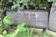 Morgan - Sarah Jane (wife of Edward)