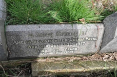 Payne 1 - Amelia