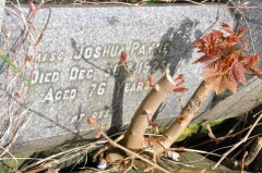 Payne 1 - Joshua
