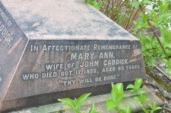 Caddick 1 - Mary Ann (wife of John)