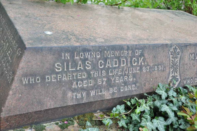 Caddick 1 - Silas