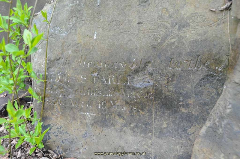 Farle...t - Thomas