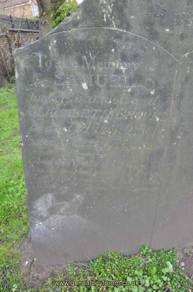 Groves - Samuel (son of Samuel & Elizabeth)