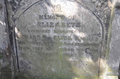 Haines 1 - Elizabeth (daug of Richard & Eliza)