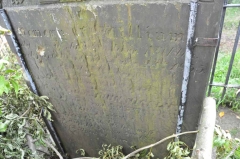 Nicklin - William & John & wife