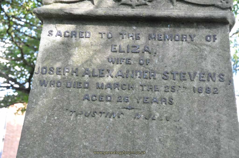 Stevens - Eliza (wife of Joseph Alexander)