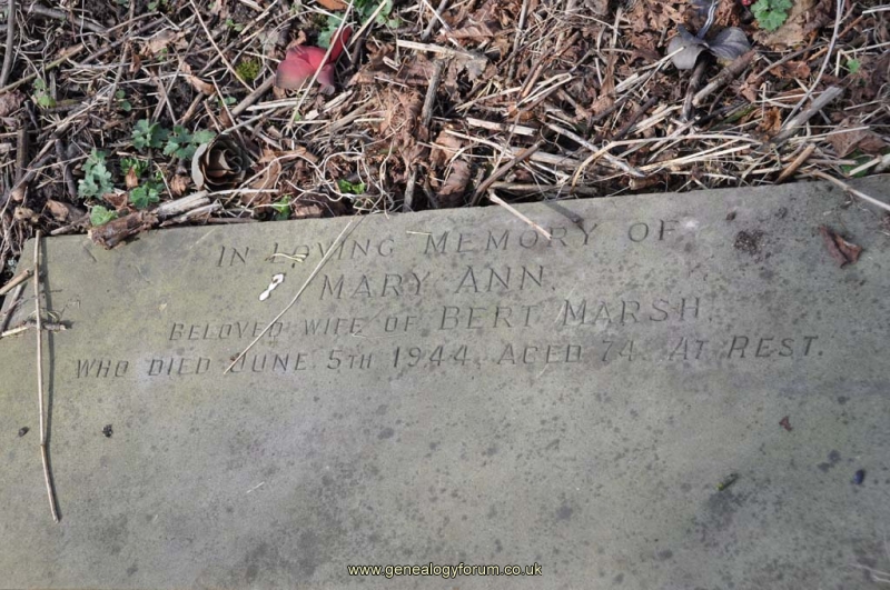 Marsh - Mary Ann (wife of Bert)