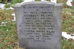 Plant - Herbert, Clarissa Daisy