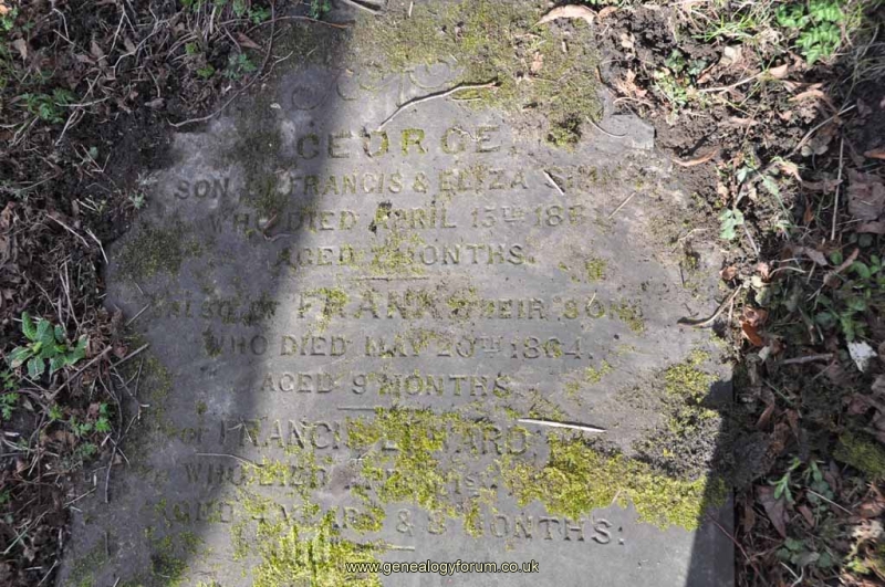Simms - George, Frank & Francis Edward (sons of Francis & Eliza)