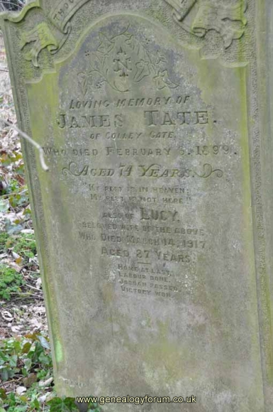 Tate - James, Lucy