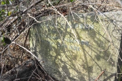 Thompson - Martha Maria (wife of Mathew Henry)