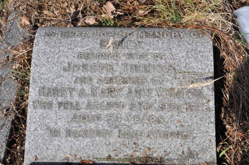 Timmins - Emily (wife of Joseph, daug of Harry  & Mary A Worton)