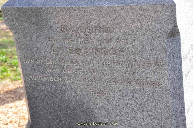 Willetts 1 - Alexander