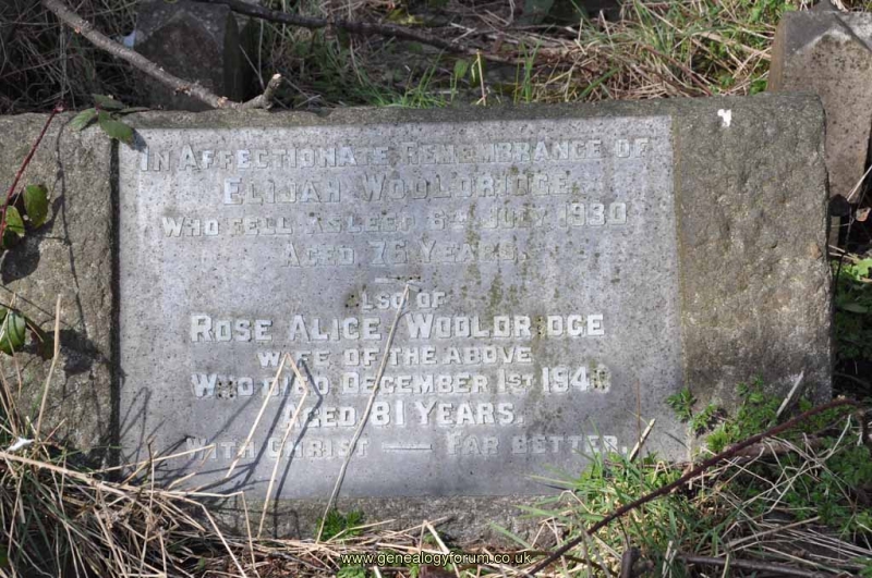 Wooldridge - Elijah, Rose Alice