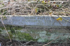 Wooldridge - Littleton, Eliza