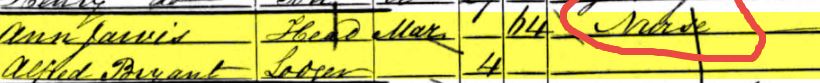 Ann Jarvis Occupation.JPG