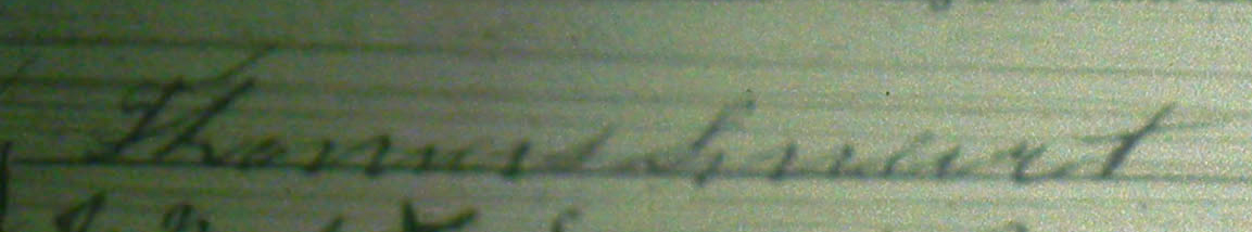 thomas hales temp-1.jpg