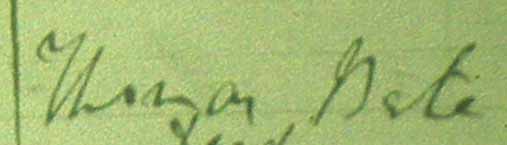 bate temp-1.jpg