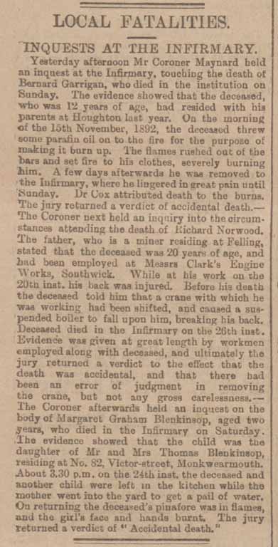 Sunderland_Daily_Echo_and_Ship_29_November_1893_0004_Clip copy.jpg