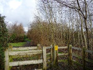 3. The Entrance to Whiteheath urban forest - small.jpg