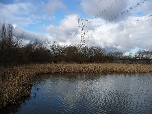 4. Portway canal arm, the bay - small.jpg