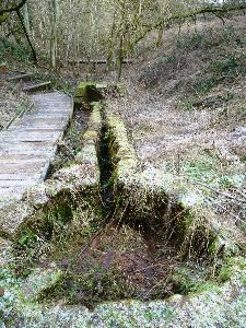 28. St Kenelm's Spring, Romsley SS.jpg