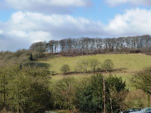30. The Horse's Mane, a beechtree hanger on Clent Hill, seen from Walton Hill S.jpg