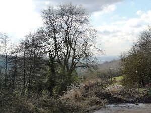 34. St Kenelm's Pass, looking down towards Clent village S.jpg