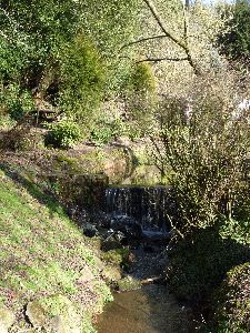 36. The stream, Vine Inn, Clent  SS.jpg