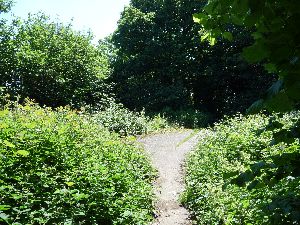 Former site of swings, Bury Hill Park.jpg