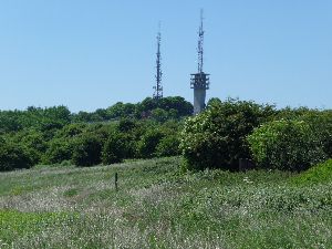 Slopes of Rowley Hills to Turnerâ€™s Hill radio masts.jpg