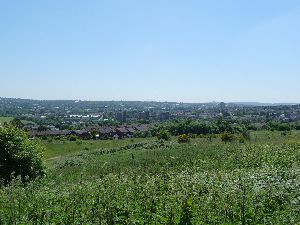 Whiteheath, Blackheath, Frankley Beeches from Rowley Hills.jpg