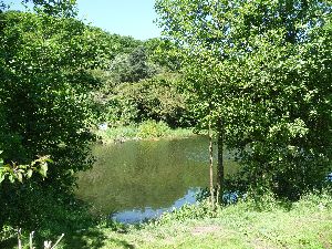 P1020945[1] Edale Pool today S.jpg