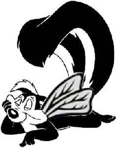 skunk wasp.jpg