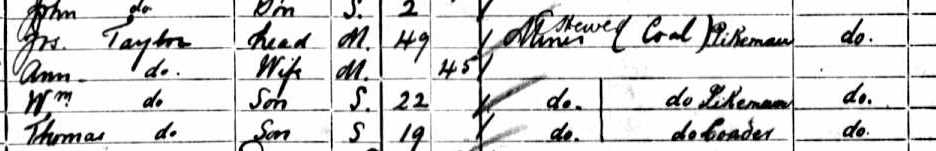 Taylors 1901 census.jpg