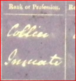 mary smart.JPG