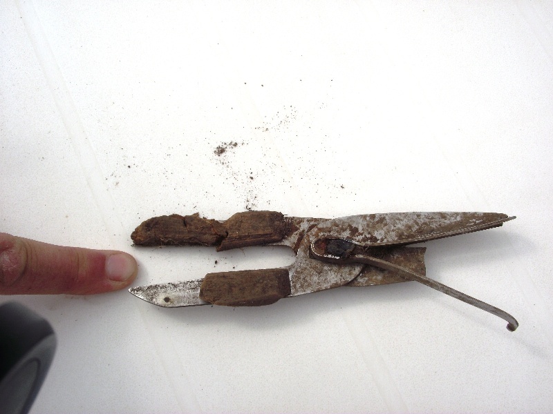 These are obviously some sort of shears but for what? They are a bit like a cooks tool but maybe gardening, or hair? They have that raised bit, perhaps as a sping, or a guard, which you can see clearly on the broken side.