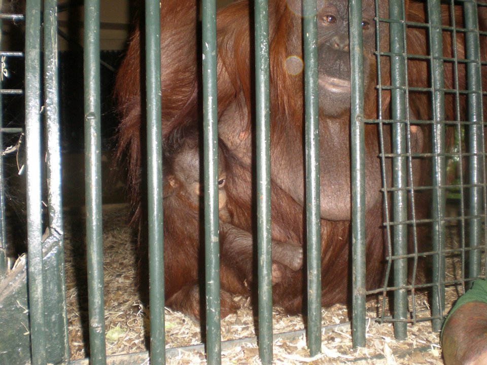 Jazz and Sprout 2.jpg