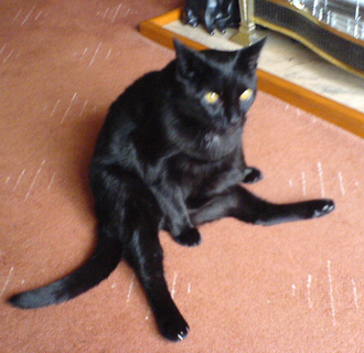 tom,.jpg
