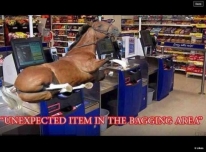 horse.jpg