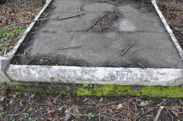 Willetts 1 - Samson, Sarah ann.JPG