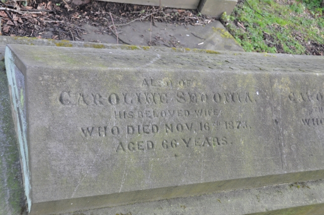 caroline sedowia his wife died nov 16 1873 age 66